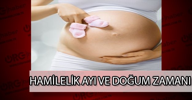 Hamilelik Gebelik Hesaplama Cetveli Gebelik Hesaplama Cetveli