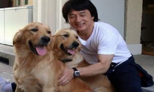 Jackie Chan'in film setinde yaşadığı kazalar