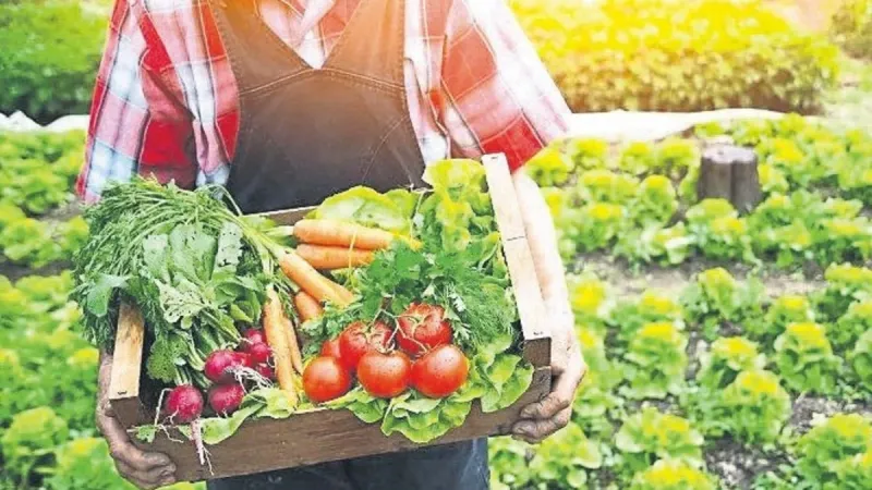 206’dan fazla tarım ürünü üretiyoruz