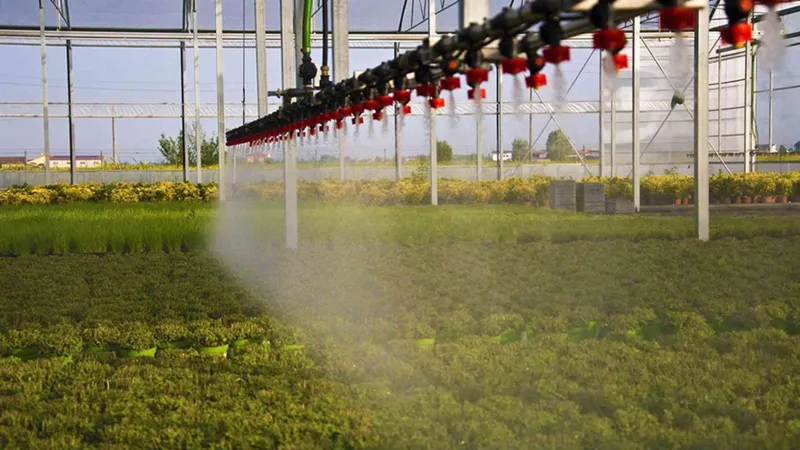 Devletten Bedava Arazi! Tıbbi Bitki Yetiştir, Köşe Ol!