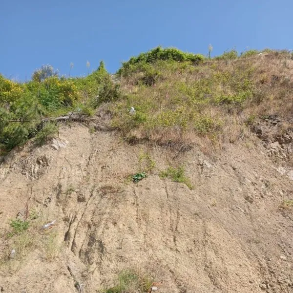 Zonguldak'ta Dehşet! 50 Metrelik Uçurumdan Düşen Kadının Akıbeti!