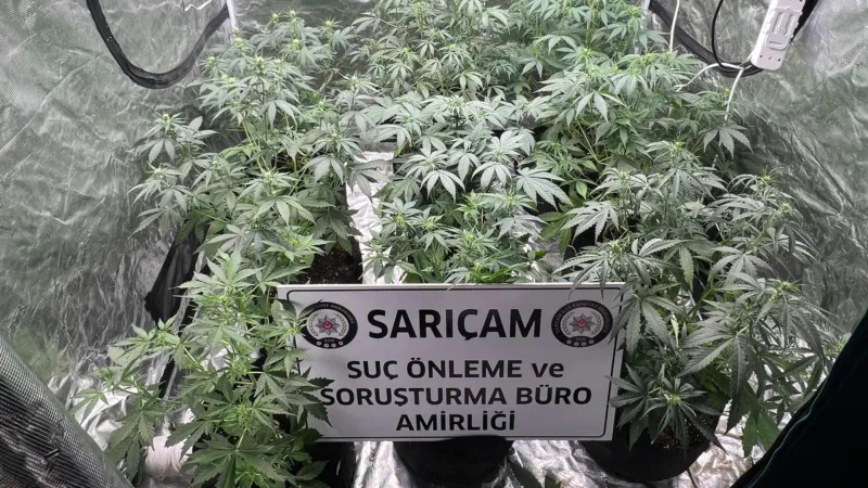 Adana'da Kenevir Serası Baskını! Evde İklimlendirme ile Uyuşturucu Üretimi