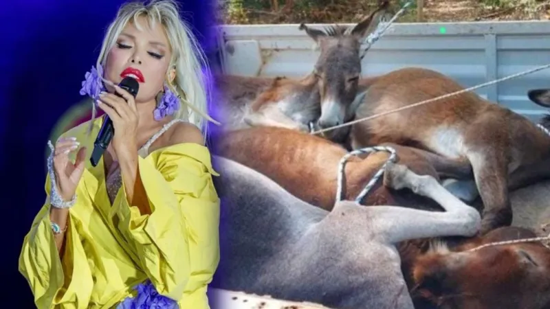 Ajda Pekkan'dan Yaban Eşekleri İsyanı: Hep Beraber Delireceğiz!
