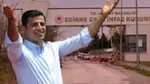 AK Partili vekilden çarpıcı Selahattin Demirtaş çıkışı! 'Sürece faydası olur…’
