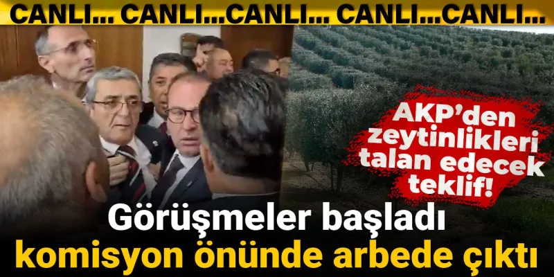 AKP’den zeytinlikleri talan edecek teklif! Görüşmeler başladı, komisyon önünde arbede çıktı