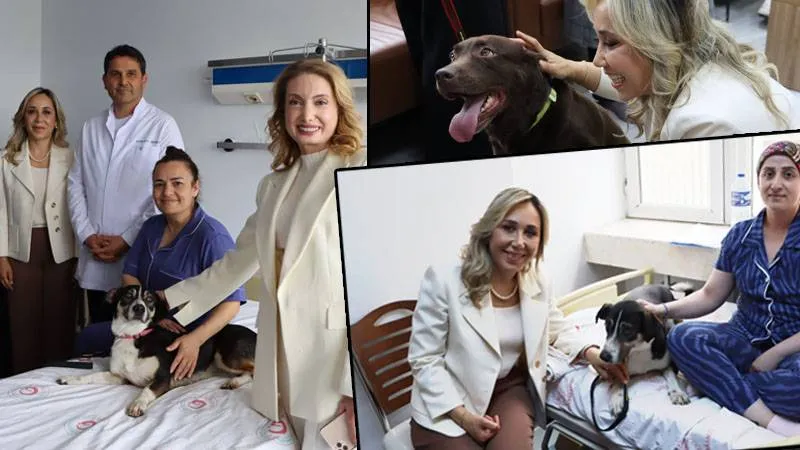 AKP'li vekil sokak köpekleriyle ameliyattan çıkan kanser hastalarını ziyaret etti, 'enfeksiyon riski' tartışmasına neden oldu