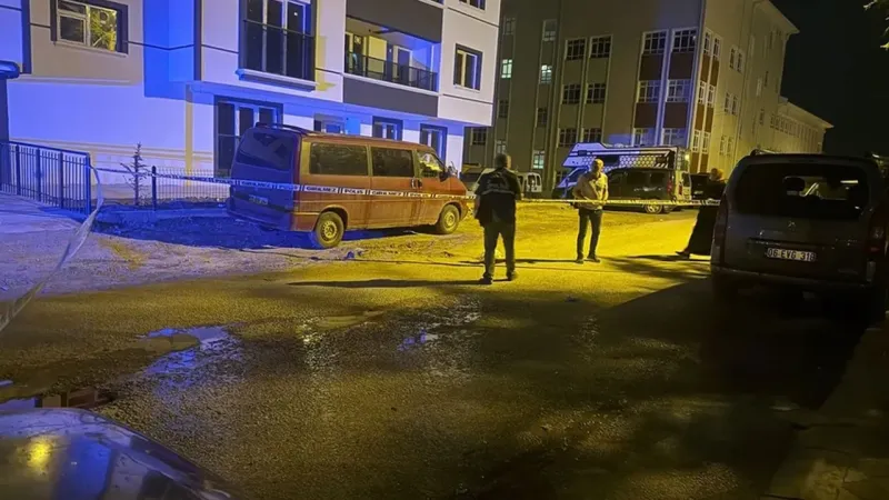 Babasını sokak ortasında defalarca bıçakladı!