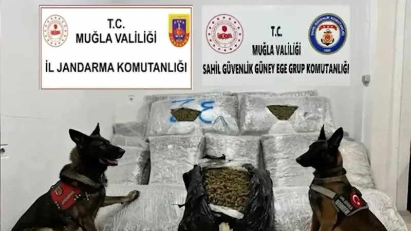 Bakan Yerlikaya açıkladı: "210 kilo uyuşturucu ele geçirildi"