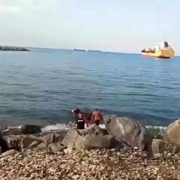 Balıkçılar inek tuttu!