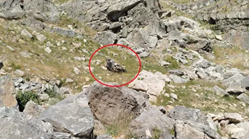 Batman'da Feci Kaza! Bilirkişi Aracı Şarampole Yuvarlandı: 5 Ölü