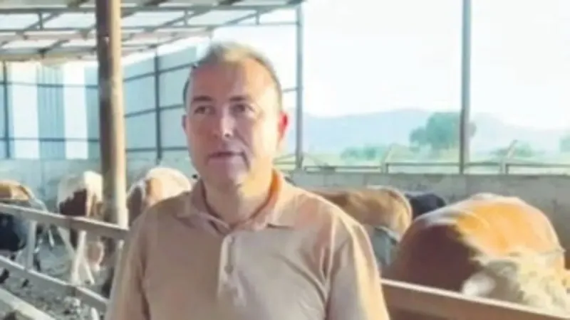 Beslediği danasının kurbanı oldu! Fotoğraf sevdası ölümle sonuçlandı