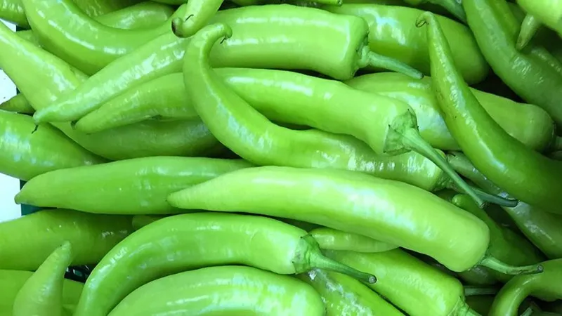Biberleri Sağlıklı ve Lezzetli Kurutmanın Püf Noktaları! Artık Çürümeyecek