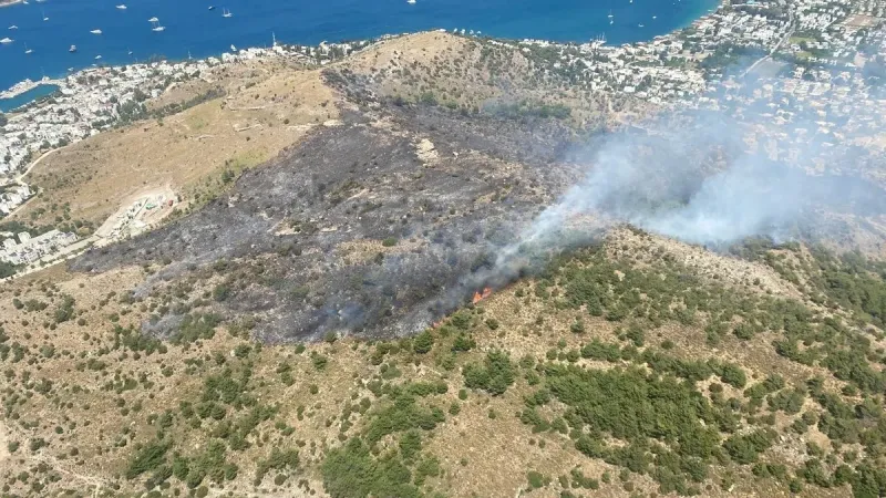 Bodrum’daki makilik yangını 20 hektarı kül etti