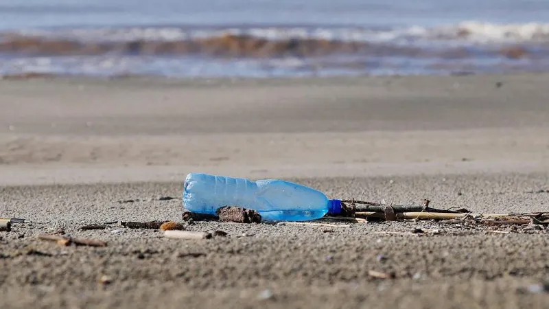 Ekolojik Kıyamet: Canlı Türleri Yok Oluyor! Plastik Kabus Büyüyor!