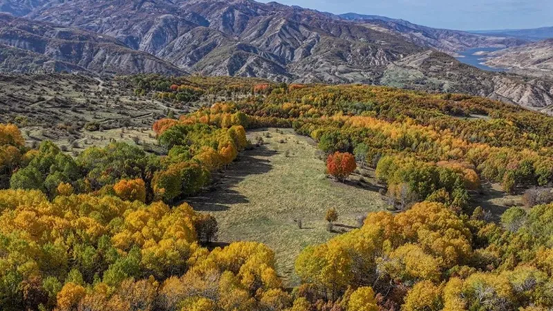 Diyarbakır Kulp'ta Sonbahar Büyüsü! O Renkler Göz Kamaştırıyor