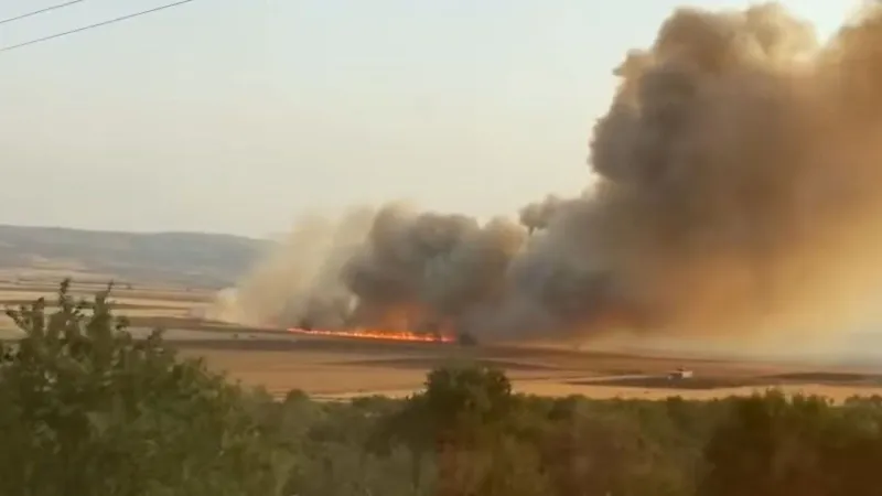 Gaziantep'te Korkunç Yangın! 500 Dönüm Buğday Tarlası Kül Oldu!