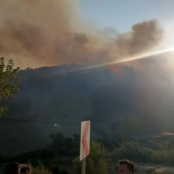 Hatay'da Orman Yangını! Alevler Yükseliyor, Tehlike Büyük