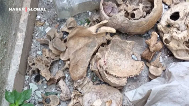 İzmir'de Korkunç Keşif! Kömürlükte 3 İskelet! Şok Detaylar