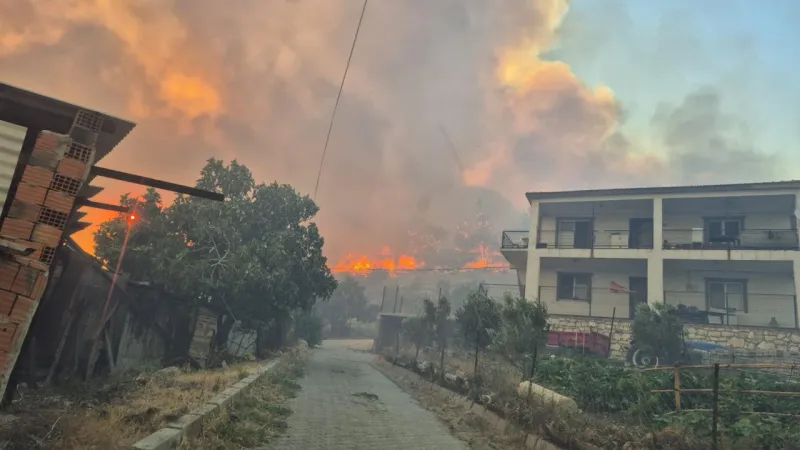 İzmir'de Orman Yangını Alarmı! Kontrol Altına Alındı mı?