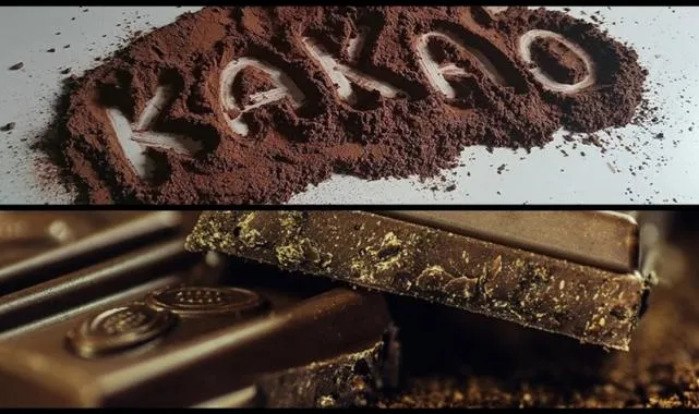 Kakao fiyatı, kuraklık endişelerinin azalması ve rekolte artışıyla yüzde 55'ten fazla geriledi