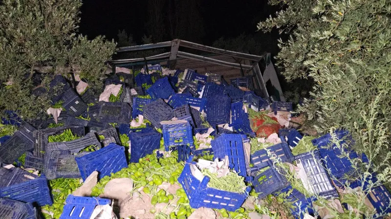 Kamyon devrildi, 10 ton biber etrafa dağıldı