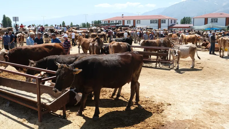 Kentte karantina; ikinci bir duyuruya kadar yasak geldi