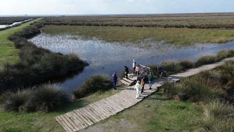 Kızılırmak Deltası Kuş Cenneti: Ziyaretçi Akını! Bu Cenneti Keşfet