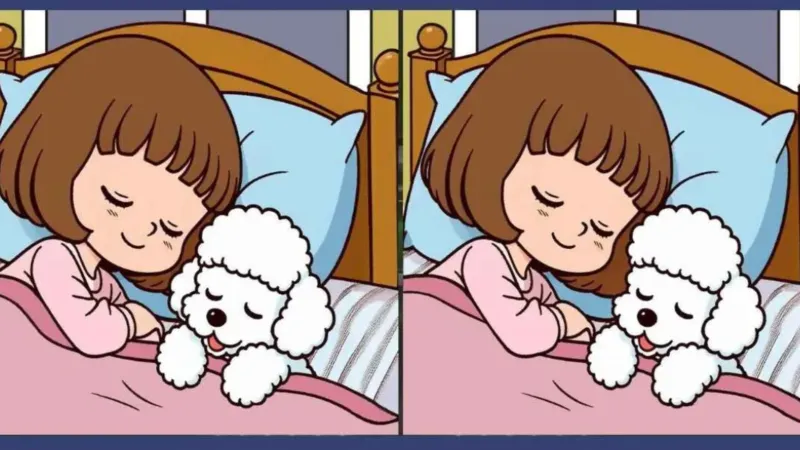 IQ'nuzu Test Edin: Köpekle Uyuyan Kızdaki 3 Farkı Bulabilir Misiniz?