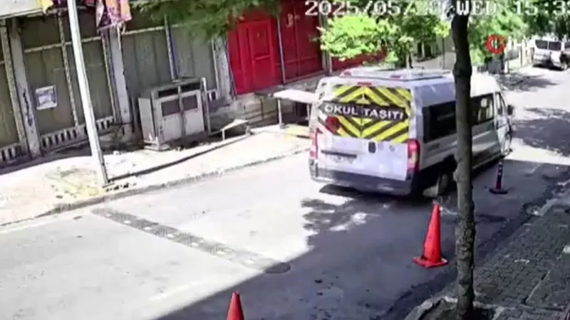 Küçükçekmece'de Kedi Katliamı! Servis Şoförü Gözünü Kırpmadı!