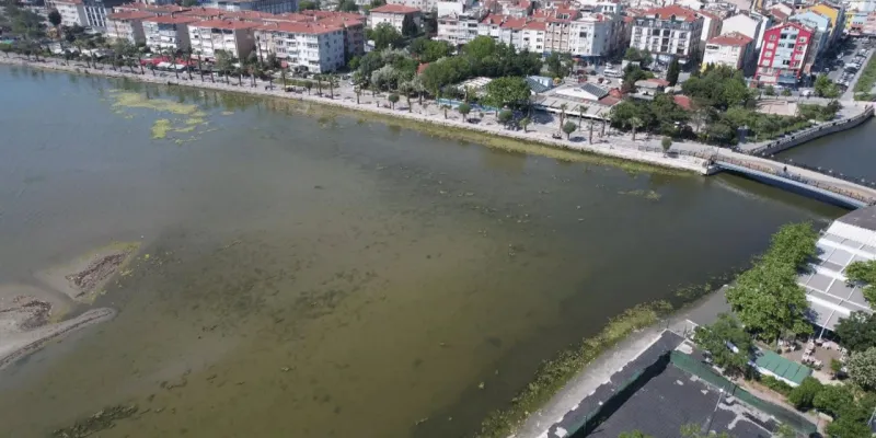 Marmara Denizi Alarm Veriyor: Yeşil Renk Neden Ortaya Çıktı?