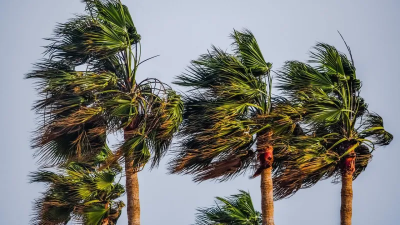 Meteoroloji sarı kodla uyardı: Sıcaklıklar düşüyor