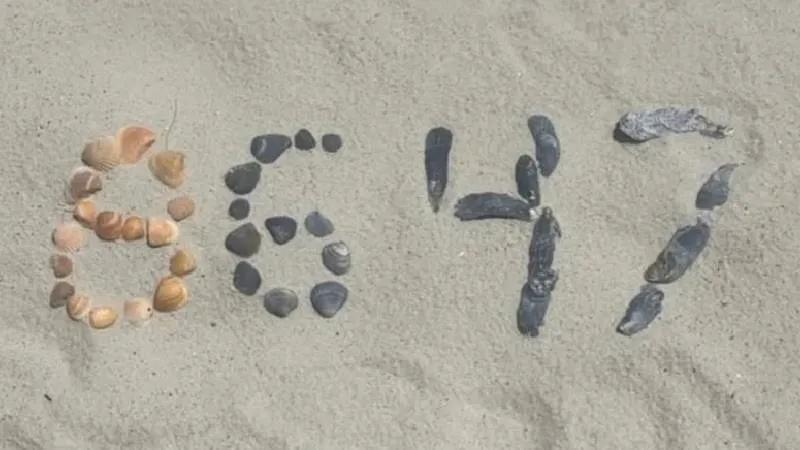 8647 Kodu Sosyal Medyayı Salladı! İstihbarat Alarmda!