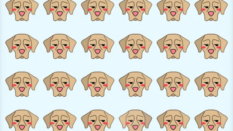 Annesi Bile Ayırt Edemez! Farklı Köpeği Bul, Zeka Testi