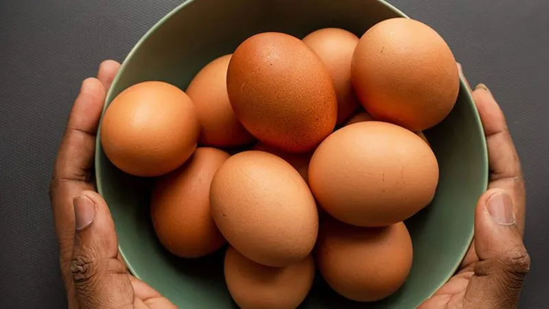 Yumurta Şaşırtıyor! Düşüş Açısı Kırılmayı Nasıl Etkiliyor?