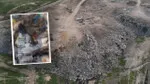 Bursa'da Barınak İddiası: Köpek Katliamı mı? Belediyeden Yanıt!