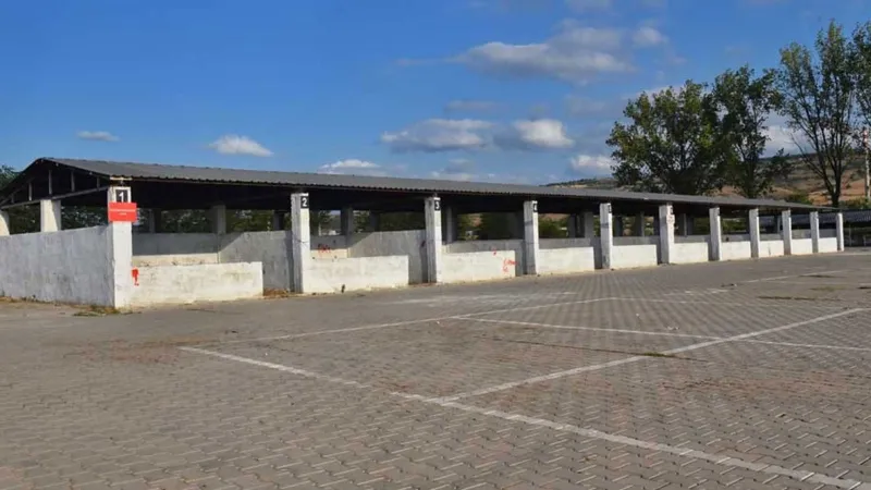 Bursa'da Şap Krizi! Mahalle Karantinaya Alındı, Hayvan Pazarı Kapandı!