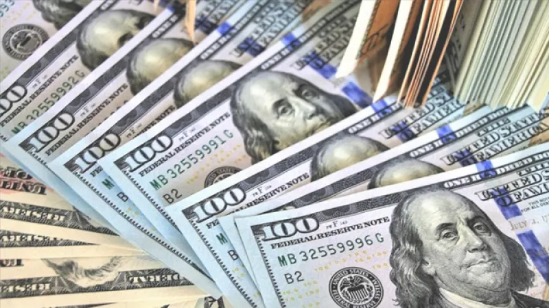 Dolar Uçacak Mı? ING'den Korkutan Yıl Sonu Dolar Tahmini!