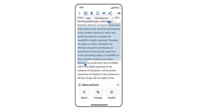 Google, iOS uygulamasına metin sadeleştirme özelliği ekledi