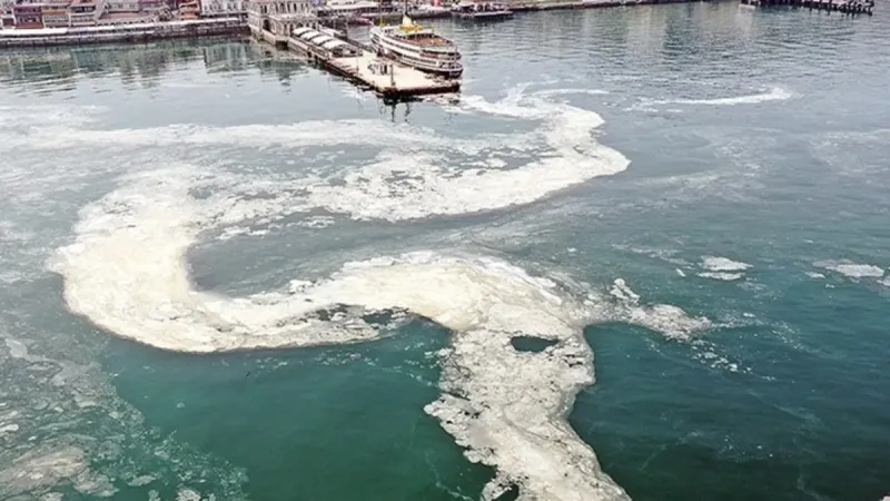 Müsilaj Alarmı! Marmara Denizi'nde Son Durum Ne?