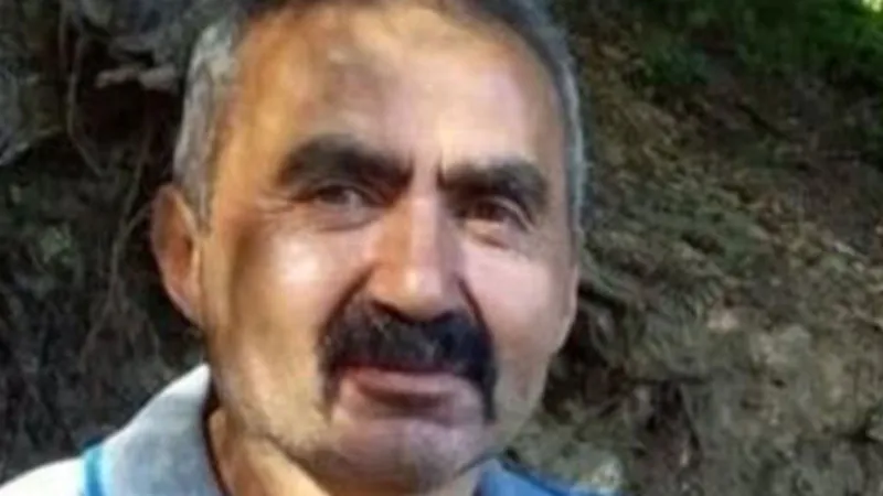 Bolu'da Orman Faciası! Ağaç İşçisi Feci Şekilde Can Verdi