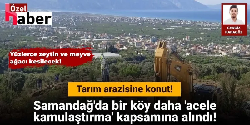Samandağ'da Şok! Köyde Acele Kamulaştırma: Zeytinler Kesilecek Mi?