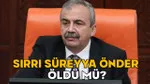 Sırrı Süreyya Önder Hayatını Mı Kaybetti? İşte Gerçekler!