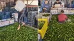 Ayakları ile Sebze Yıkadı! Adana'da Mide Bulandıran Skandal