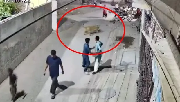 Aslan Terörü! Sokakta Kadın ve Çocuklara Saldırdı!