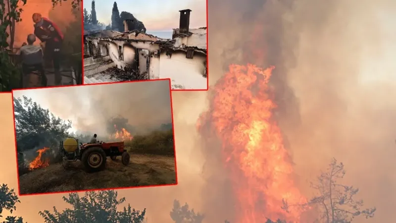 Son dakika: İzmir’deki yangının boyutu gün ağarınca ortaya çıktı! Sitenin güzelliğine aldandık…