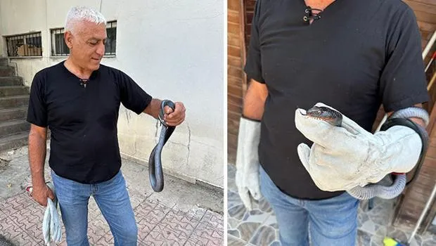 Tunceli'de tuvalette yakalandı, tekrar doğal ortamına bırakıldı