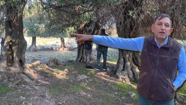 Türkiye'de sadece Gökçeada'da var! Dünyada çok fazla yerde bulunmuyor: 'Nasıl gelmiş, kim getirmiş bilen yok'