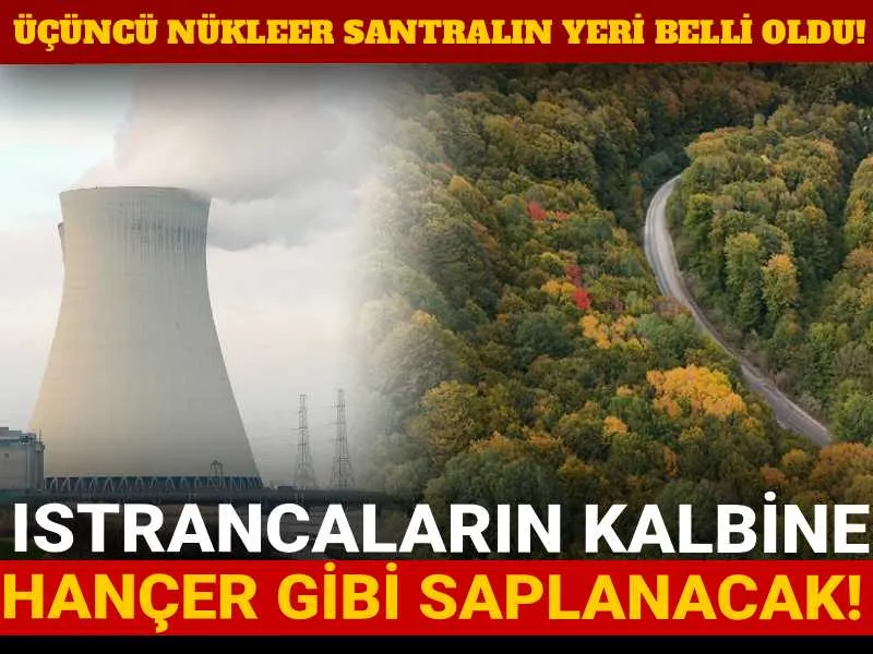 3. Nükleer Santral Nereye Kurulacak? İşte O Yer!