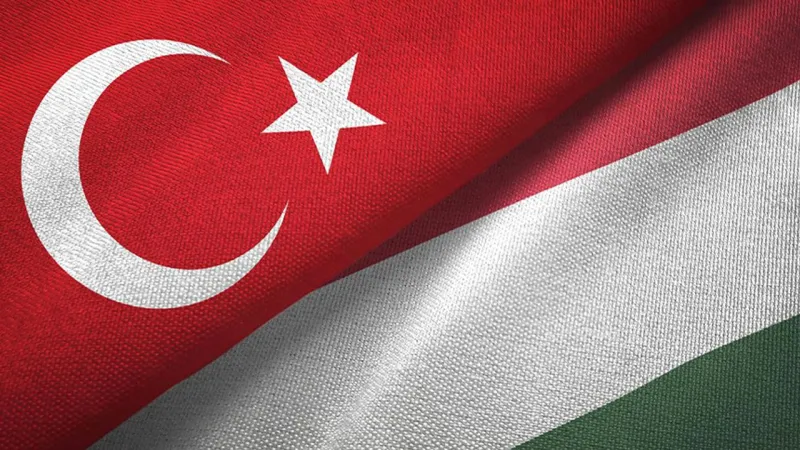 UEFA'dan Macaristan'a 'Türkiye cezası'
