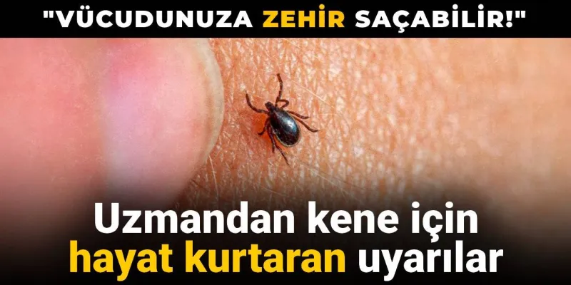 Kene Alarmı! Uzmandan Hayat Kurtaran Uyarılar Geldi